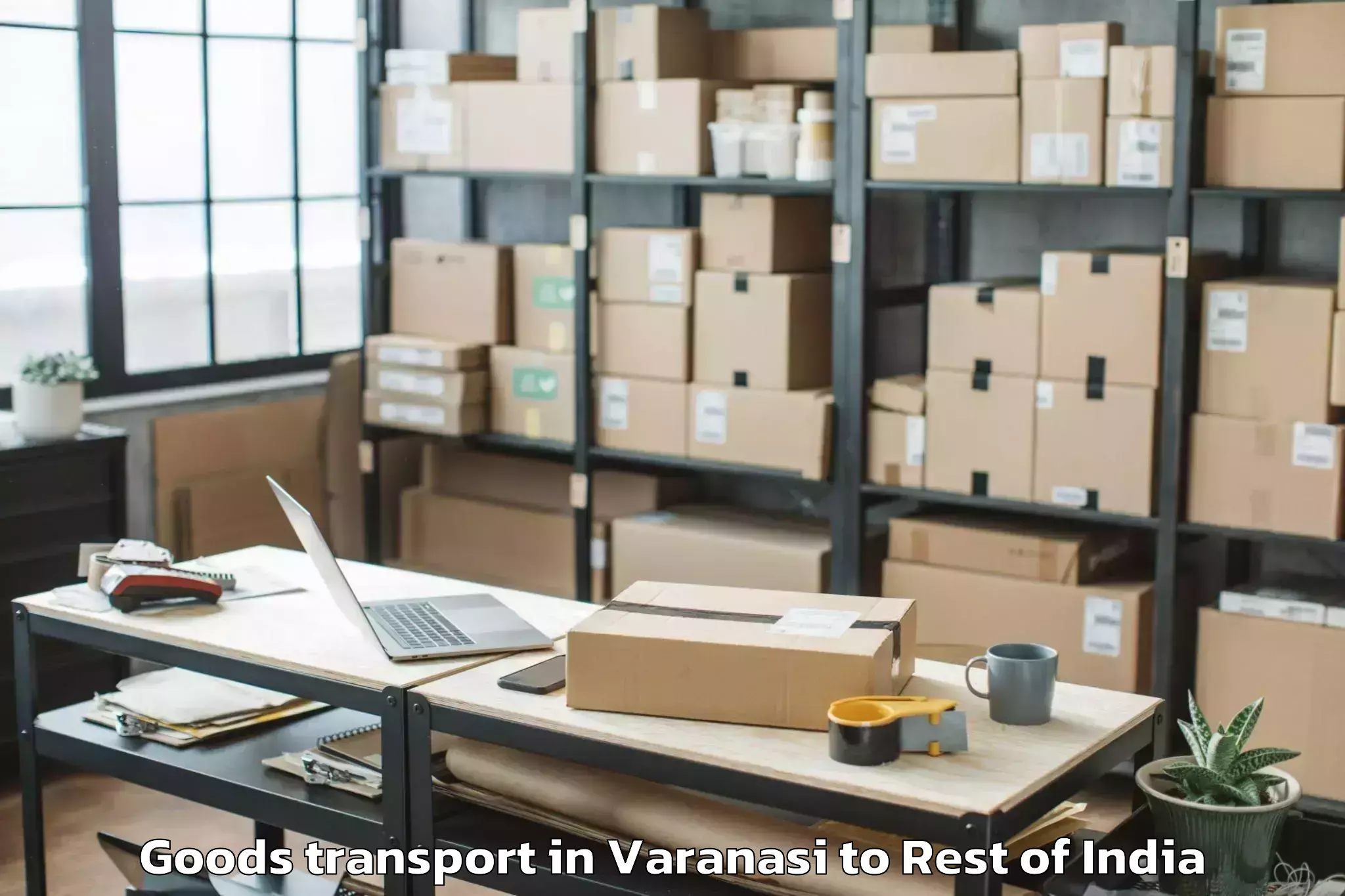 Get Varanasi to Burgampadu Goods Transport